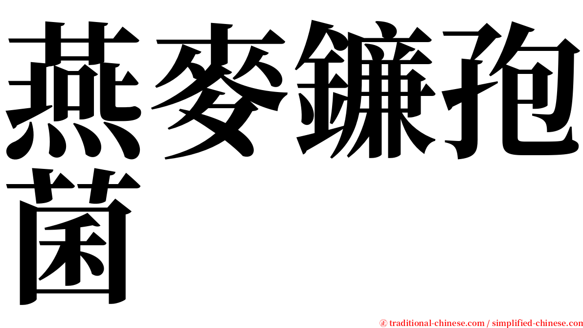 燕麥鐮孢菌 serif font