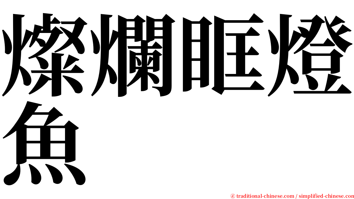 燦爛眶燈魚 serif font