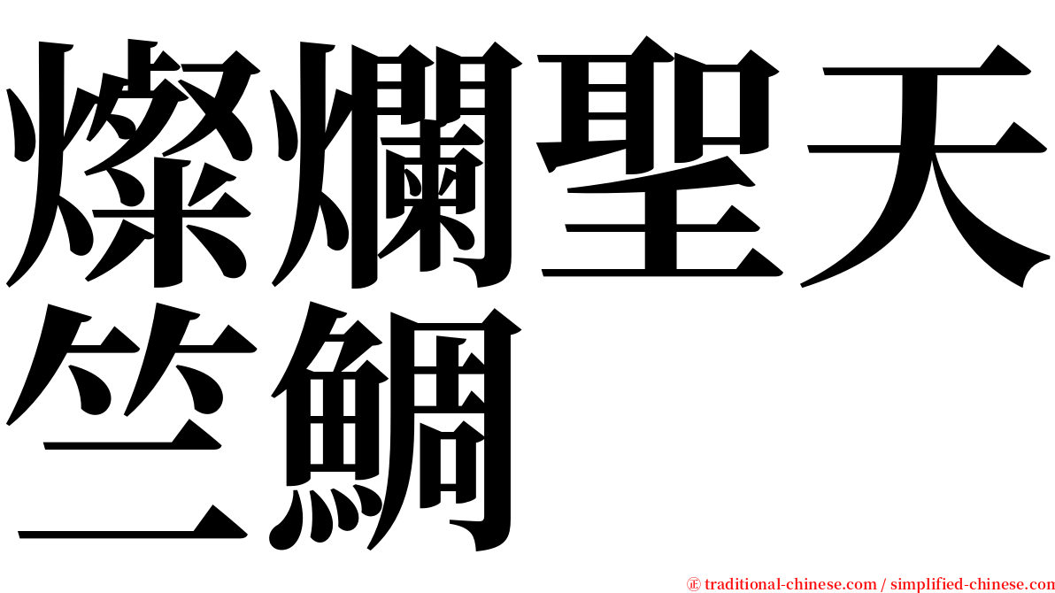 燦爛聖天竺鯛 serif font