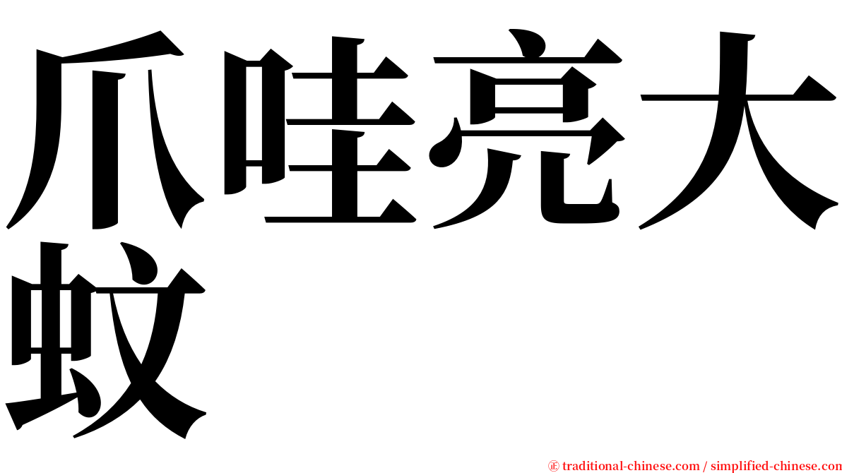 爪哇亮大蚊 serif font