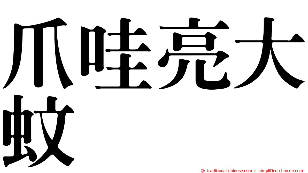 爪哇亮大蚊