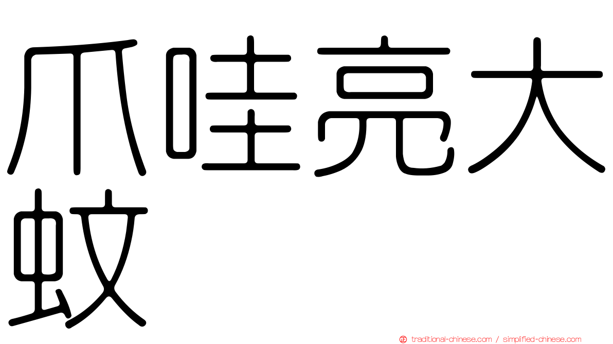 爪哇亮大蚊