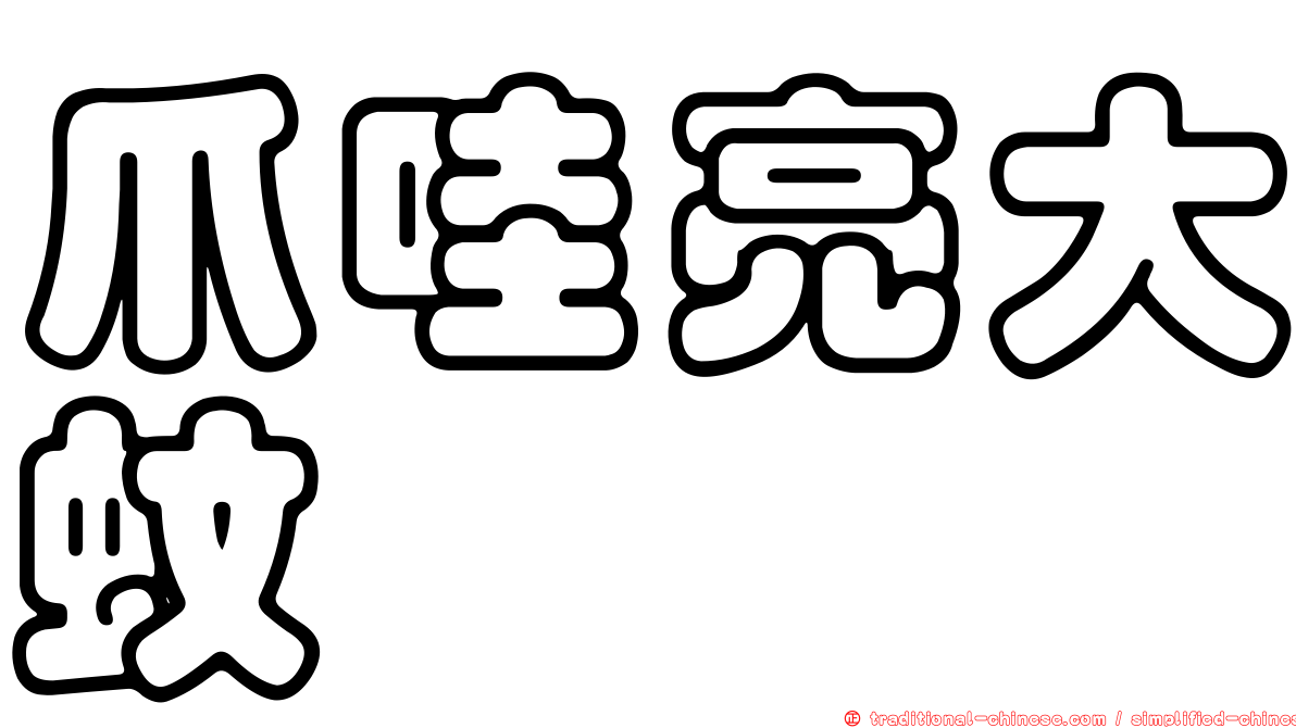 爪哇亮大蚊