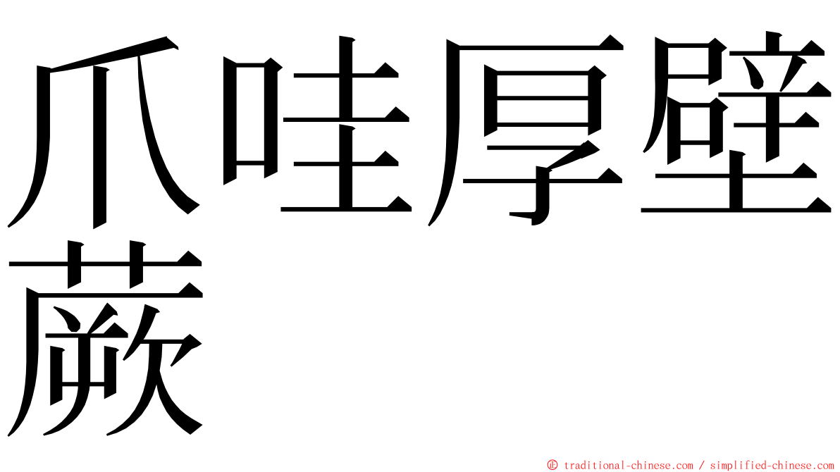 爪哇厚壁蕨 ming font