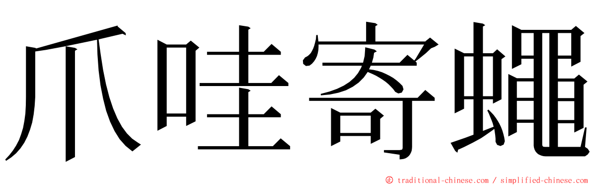 爪哇寄蠅 ming font