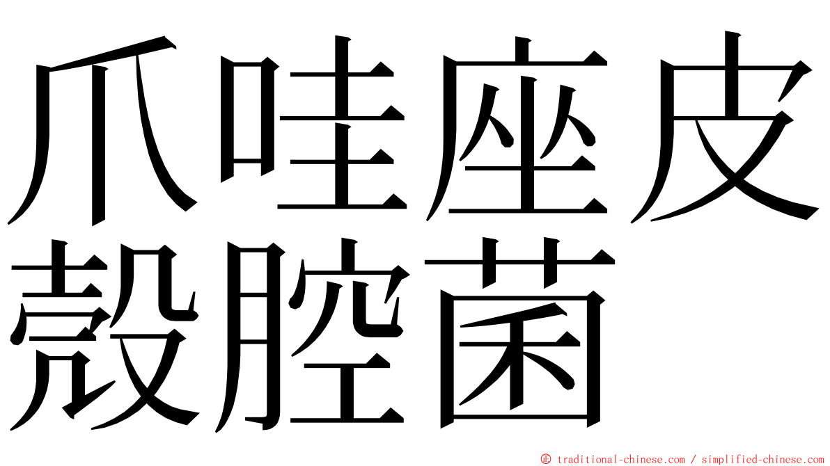 爪哇座皮殼腔菌 ming font