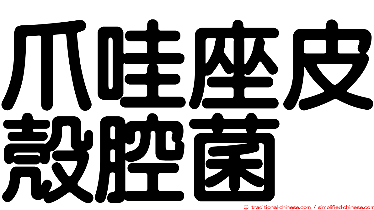 爪哇座皮殼腔菌