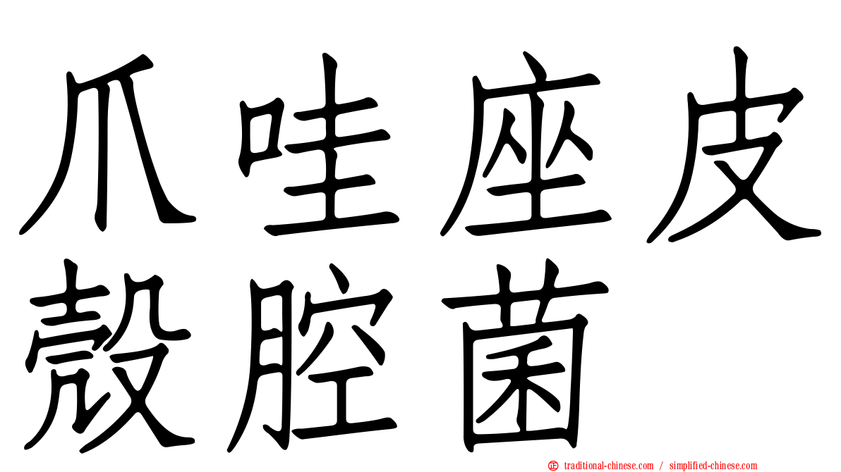 爪哇座皮殼腔菌