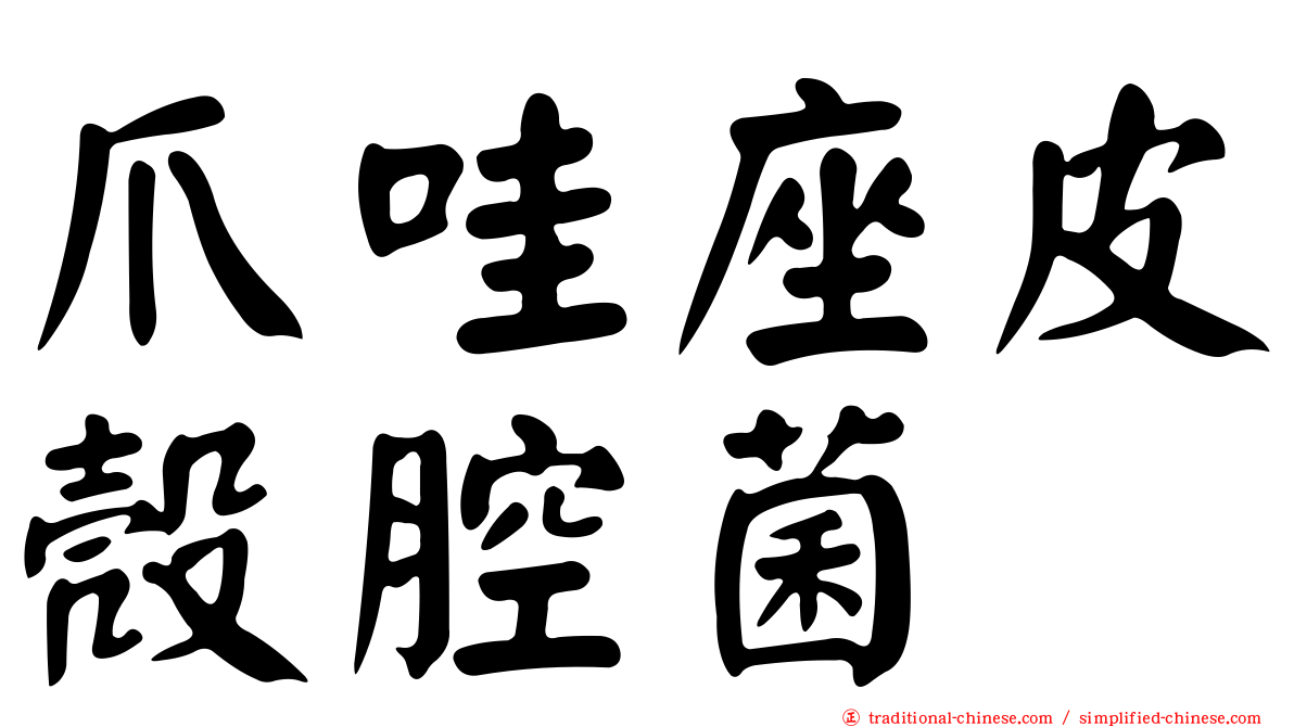 爪哇座皮殼腔菌