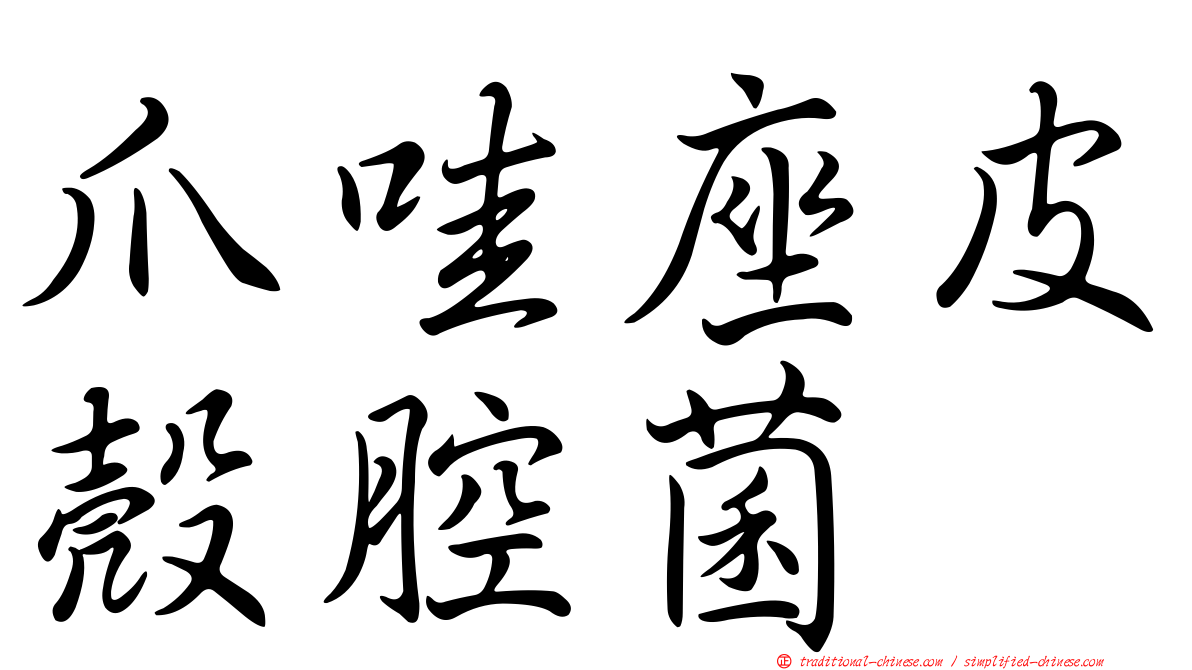 爪哇座皮殼腔菌