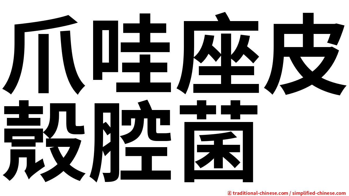 爪哇座皮殼腔菌