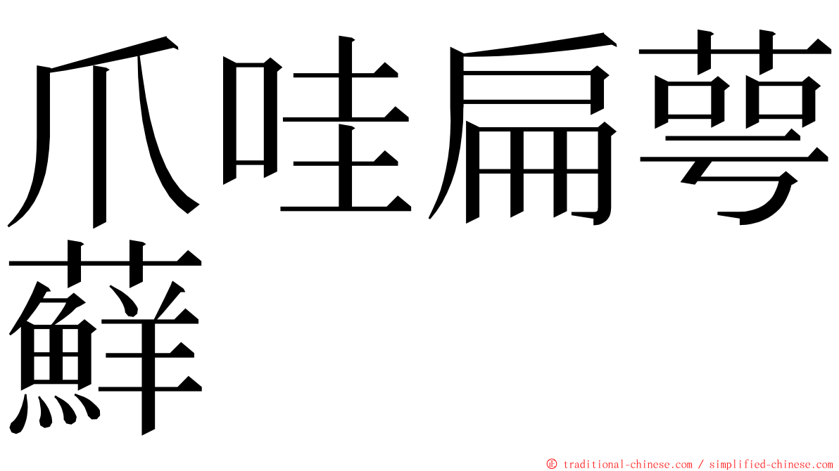 爪哇扁萼蘚 ming font