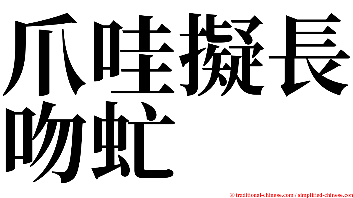 爪哇擬長吻虻 serif font