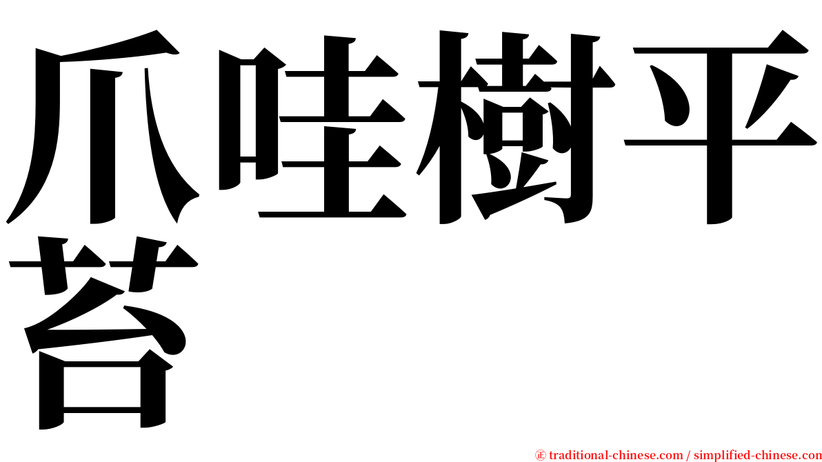 爪哇樹平苔 serif font