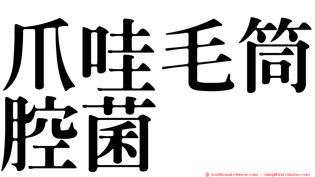 爪哇毛筒腔菌