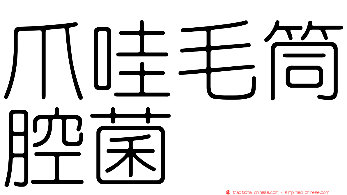 爪哇毛筒腔菌