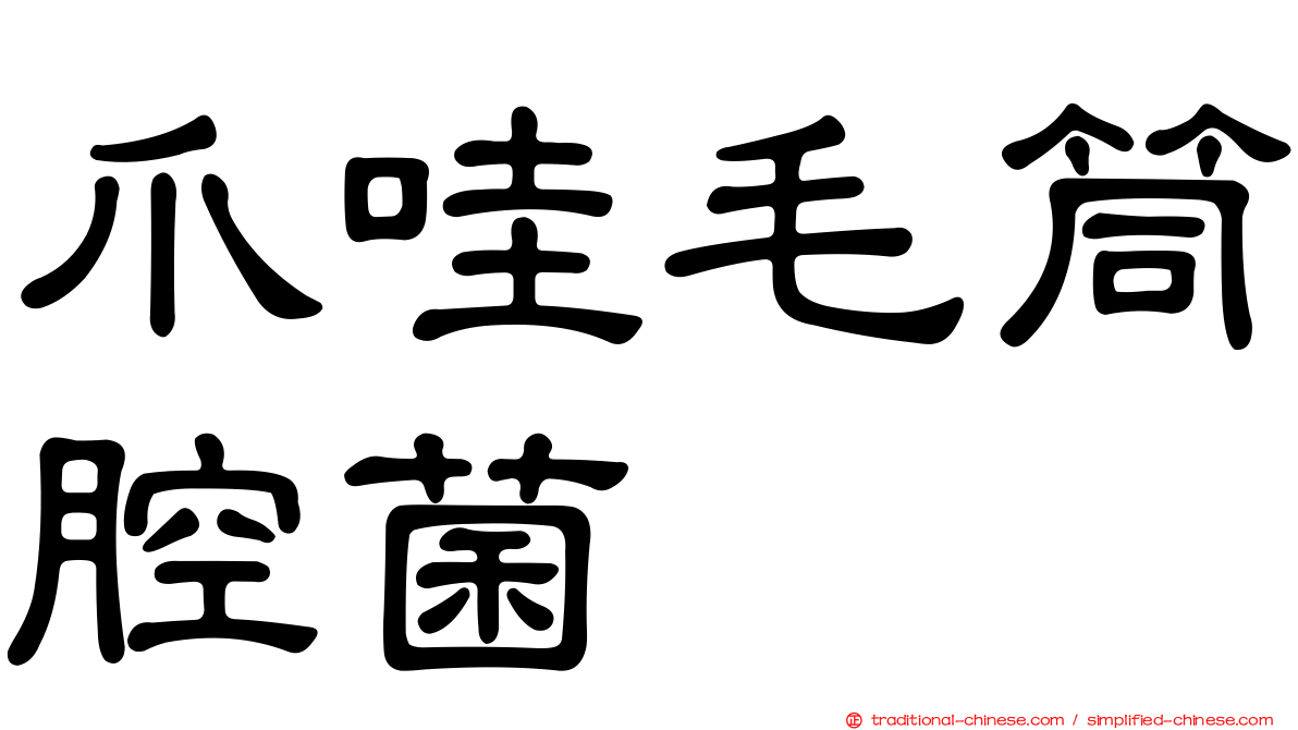 爪哇毛筒腔菌