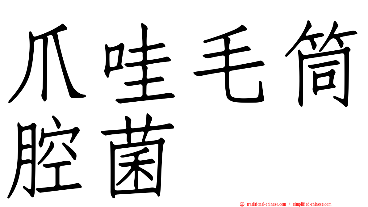 爪哇毛筒腔菌