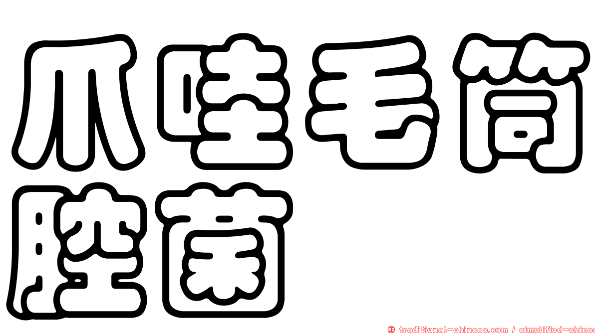 爪哇毛筒腔菌