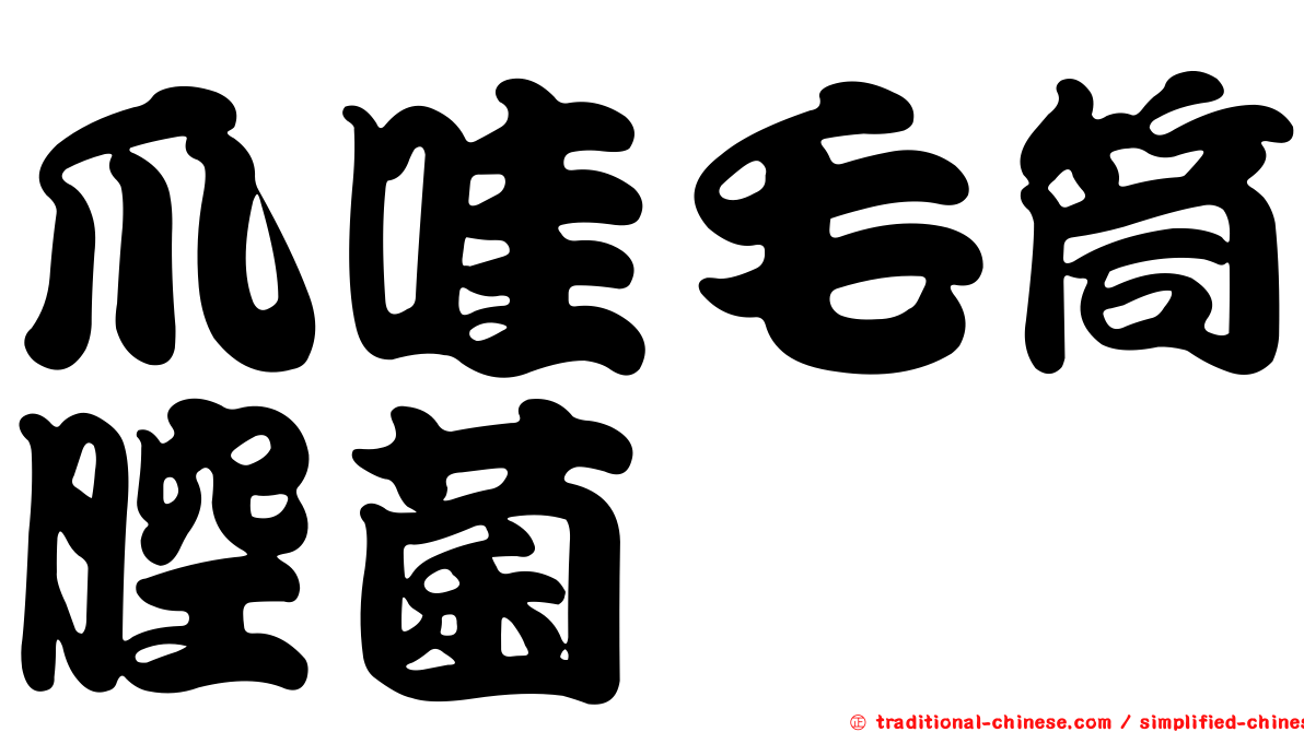 爪哇毛筒腔菌
