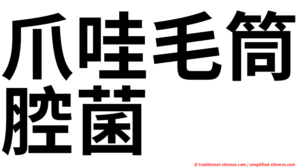 爪哇毛筒腔菌