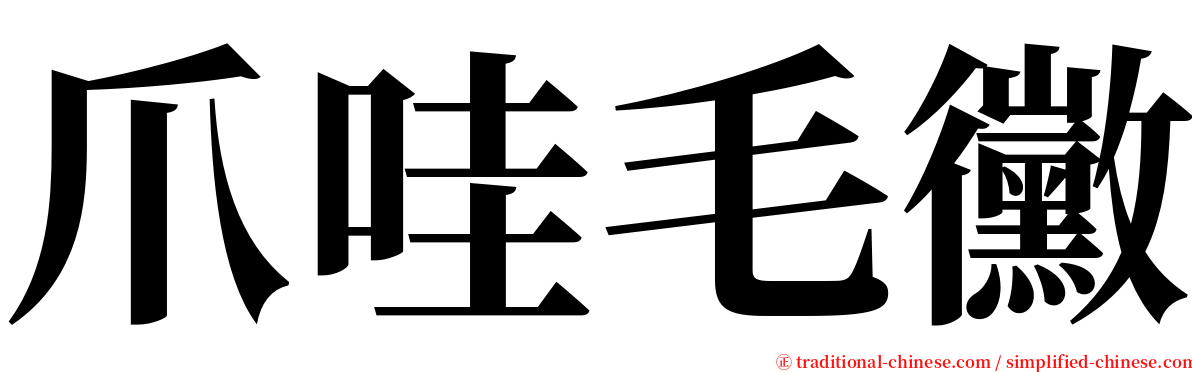 爪哇毛黴 serif font