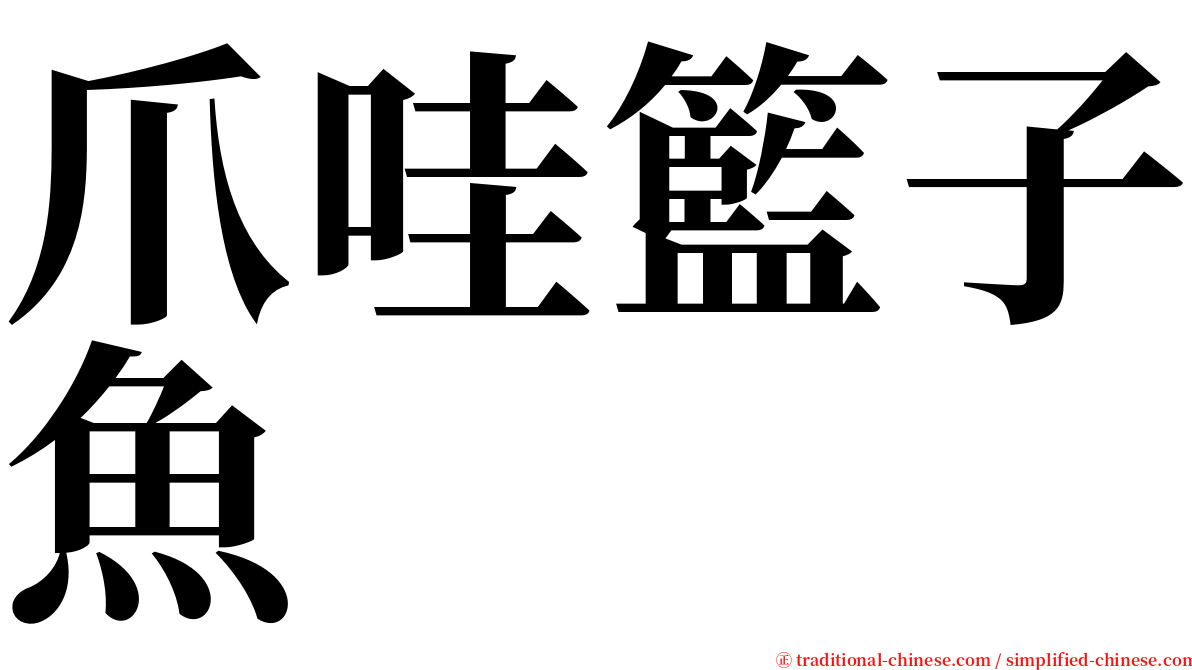 爪哇籃子魚 serif font