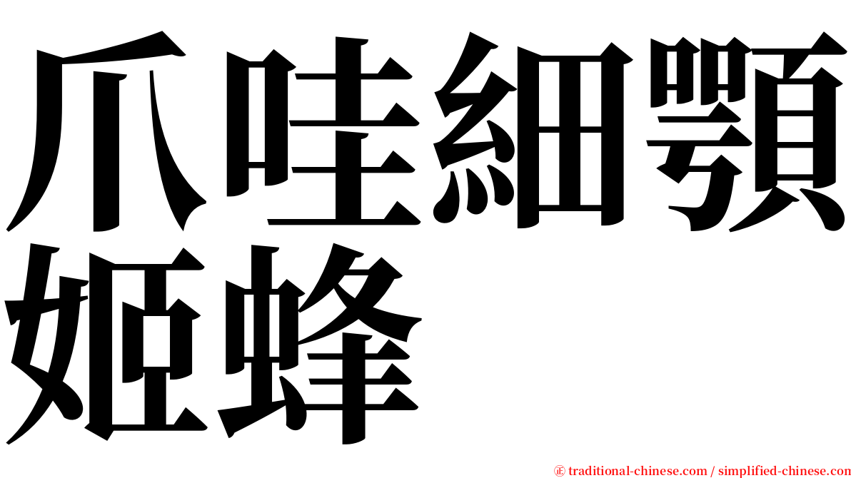 爪哇細顎姬蜂 serif font