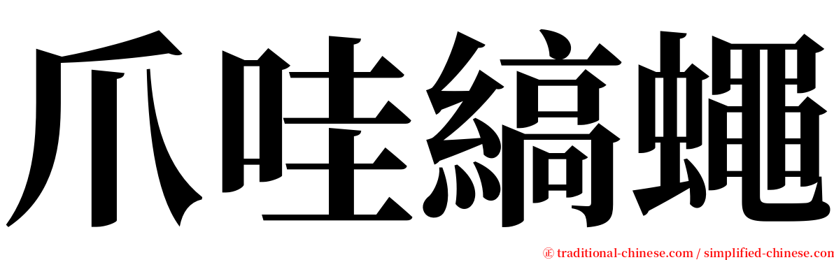 爪哇縞蠅 serif font