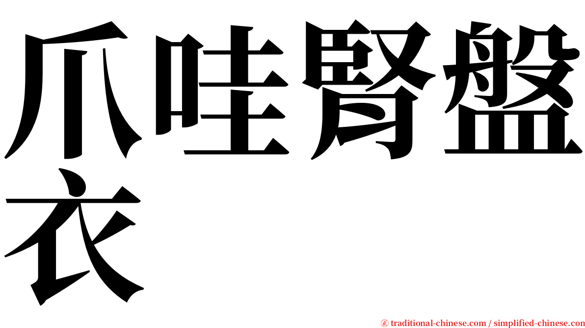 爪哇腎盤衣 serif font