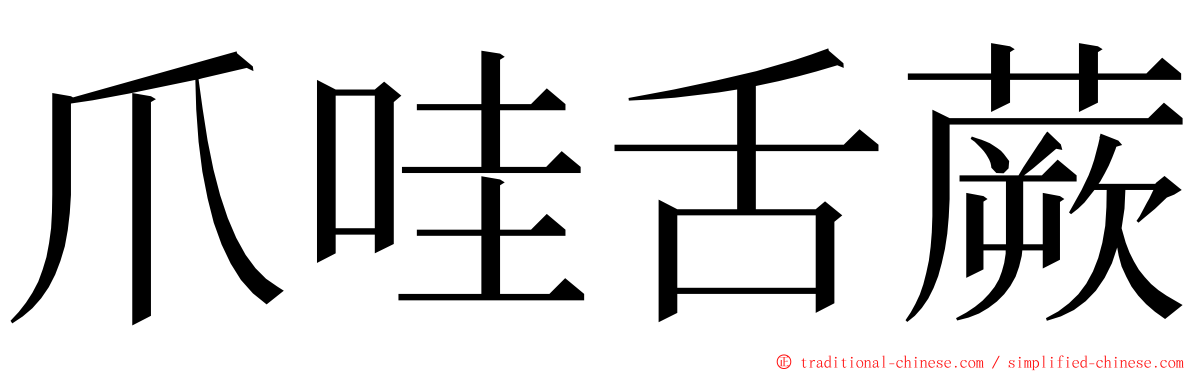 爪哇舌蕨 ming font