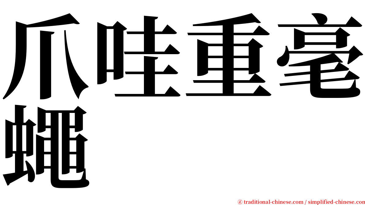 爪哇重毫蠅 serif font