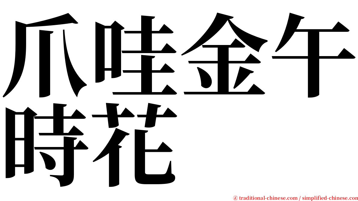 爪哇金午時花 serif font