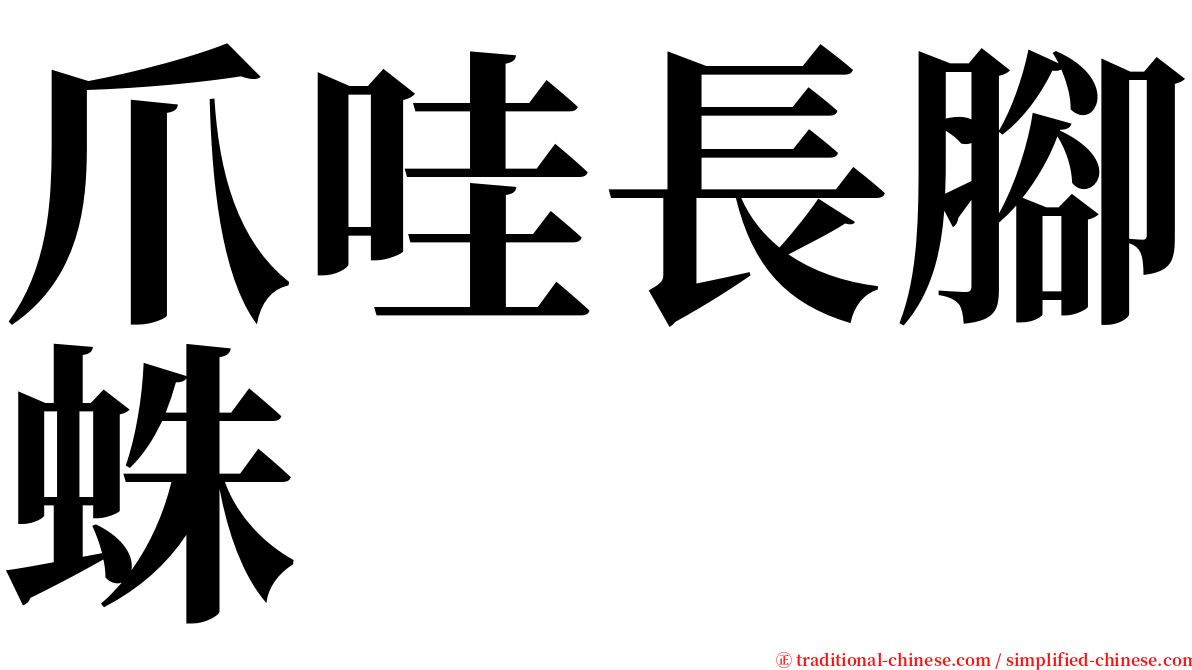 爪哇長腳蛛 serif font