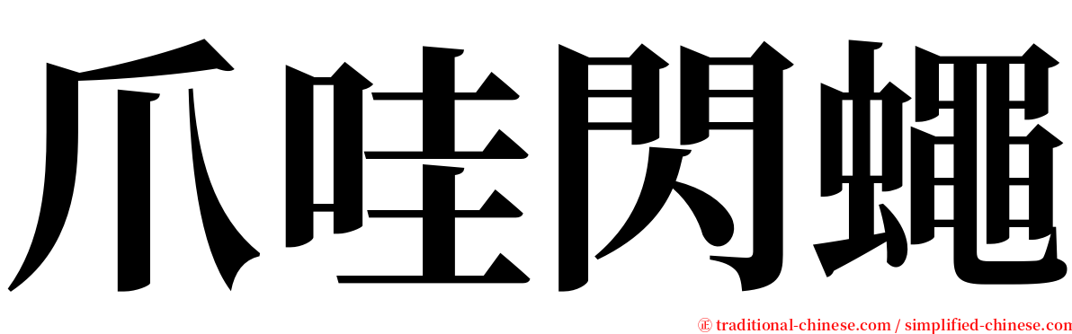 爪哇閃蠅 serif font