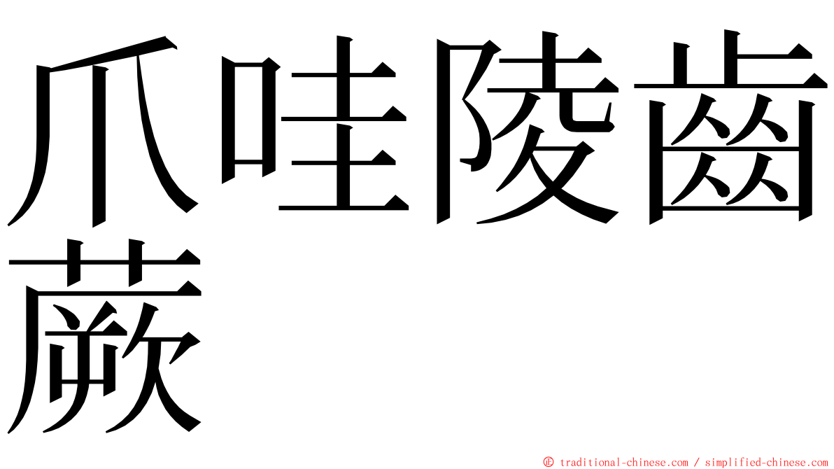 爪哇陵齒蕨 ming font