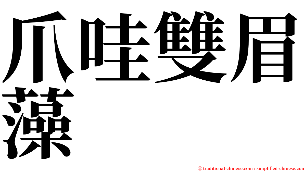 爪哇雙眉藻 serif font