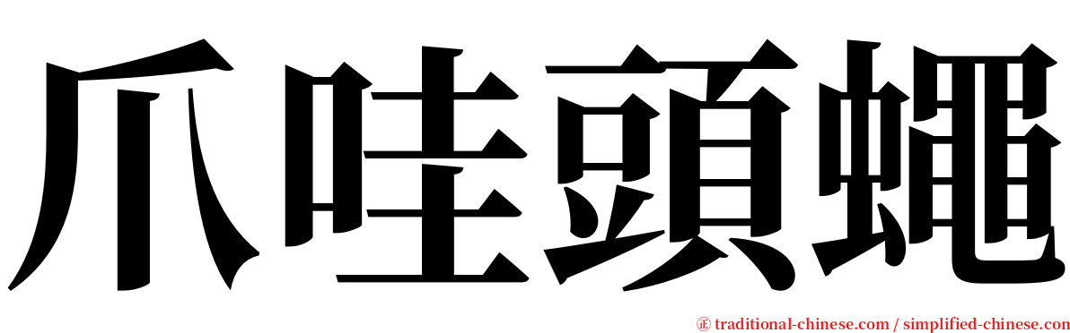 爪哇頭蠅 serif font