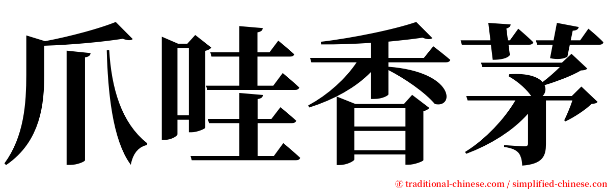 爪哇香茅 serif font