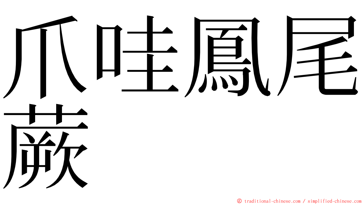 爪哇鳳尾蕨 ming font