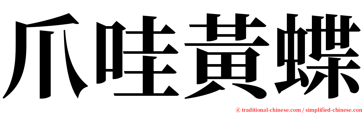 爪哇黃蝶 serif font