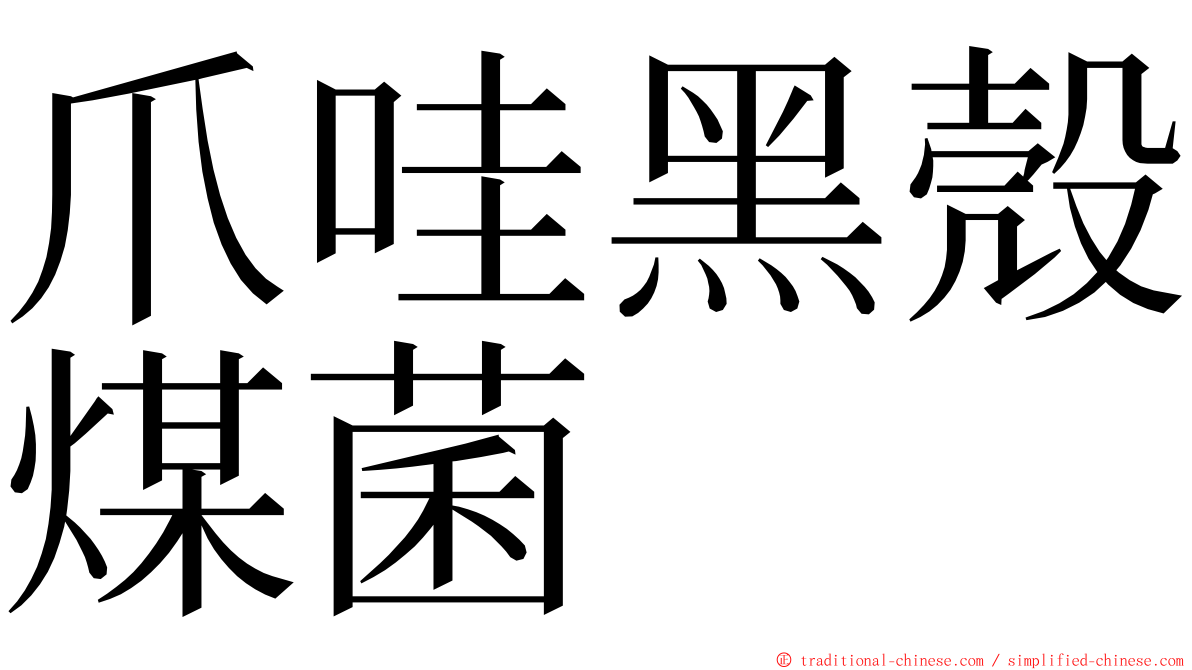 爪哇黑殼煤菌 ming font