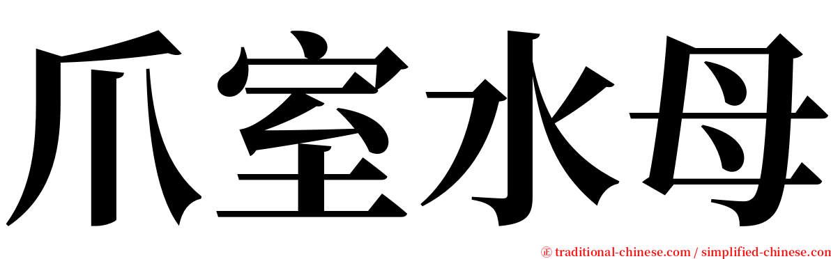 爪室水母 serif font