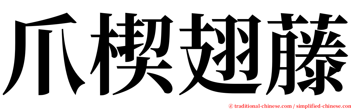 爪楔翅藤 serif font