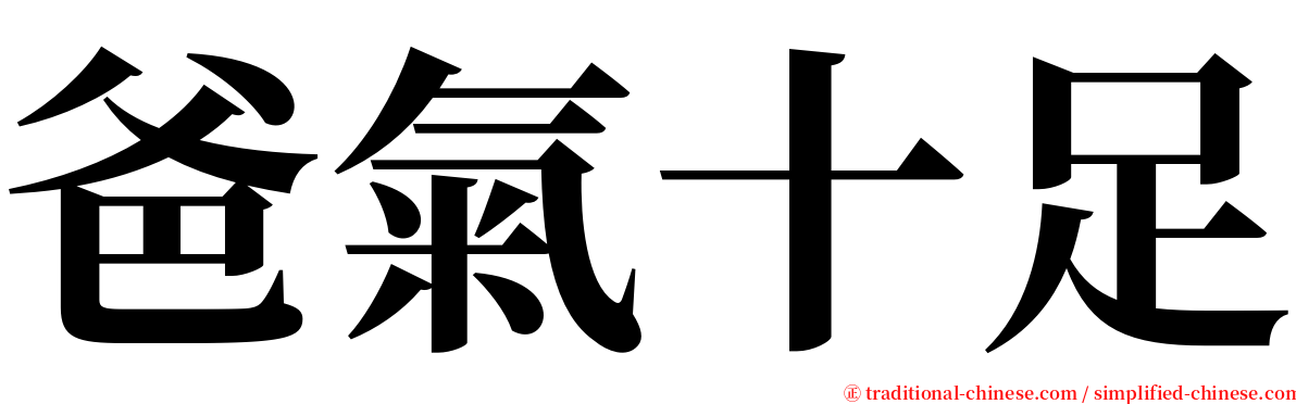 爸氣十足 serif font