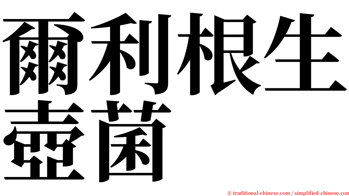 爾利根生壺菌 serif font