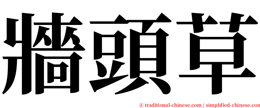 牆頭草 serif font