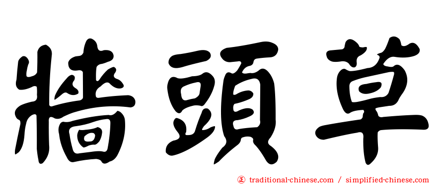 牆頭草