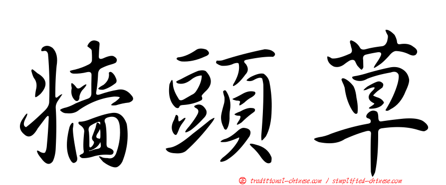 牆頭草