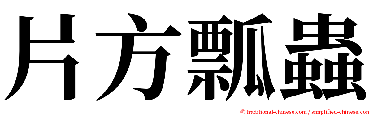 片方瓢蟲 serif font